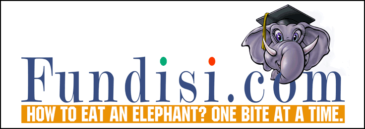 Fundisi - Short Concise Math E-books